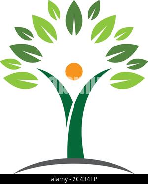 Growth concept icon - tree vector icon - Flat vector Stock Vector Image ...