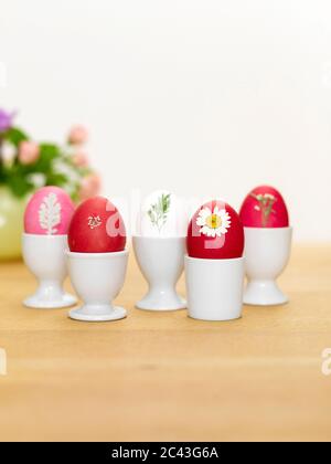 Easter eggs in egg cups, Munich, Bavaria, Germany Stock Photo