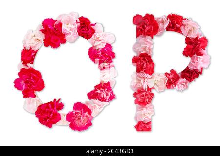 flower font alphabet O P set (collection A-Z), made from real Carnation flowers pink, red color with paper cut shape of capital letter. flora font Stock Photo