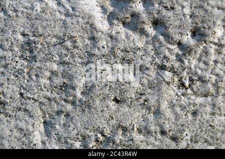 Textra of concrete surface. Construction and repair. Stock Photo