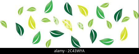 Leaf  background symbol vector icon illustration design Stock Vector