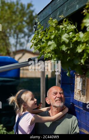 Grandfather and granddaughter inspecting bee hotel in allotment garden Stock Photo