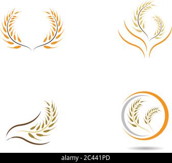 Agriculture wheat logo template vector icon design Stock Vector