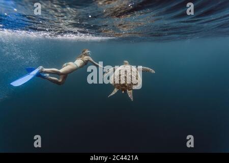 Indonesia, Bali, Underwater view of female diver swimming alongside lone turtle Stock Photo