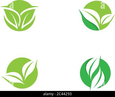 Leaf logo set vector icon illustration Stock Vector