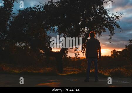 Silhouette young man standing on road in park during sunset Stock Photo