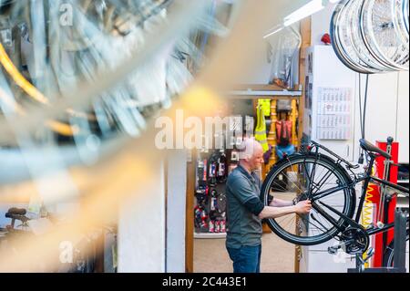 Bicycle mechanic working in bike shop Stock Photo