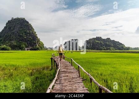 Vietnam, Ninh Binh Province, Ninh Binh, Male tourist walking along boardwalk in Hong River Delta Stock Photo