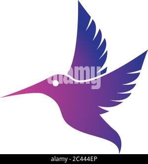 Hummingbird logo template vector icon illustration design Stock Vector