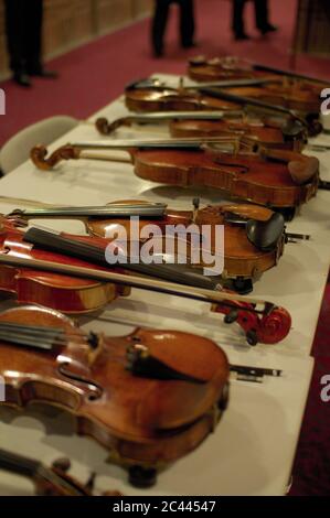 Several violins lie on a table Stock Photo