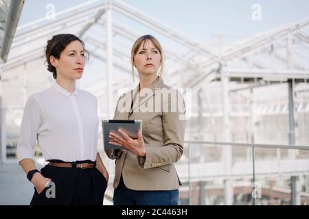 Two businesswomen with tablet having a meeting at a greenhouse Stock Photo