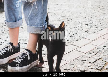 Portrait of stray cat by woman standing on footpath, Corvo, Azores, Portugal Stock Photo