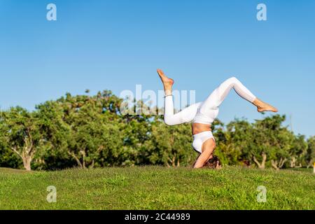 Woman practicing yoga on lawn in sunshine doing a headstand Stock Photo