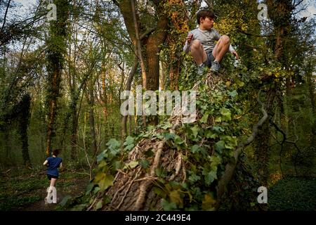 Full length of boy tree by sister running in forest Stock Photo