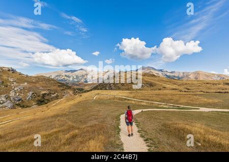 New Zealand, Female hiker standing in middle of winding road admiring landscape of Cave Stream Scenic Reserve Stock Photo