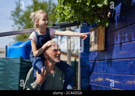 Grandfather and granddaughter inspecting bee hotel in allotment garden Stock Photo