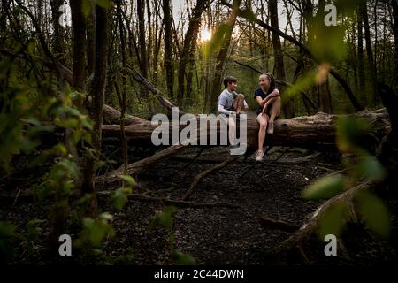 Full length of smiling siblings talking while sitting on fallen tree in forest Stock Photo