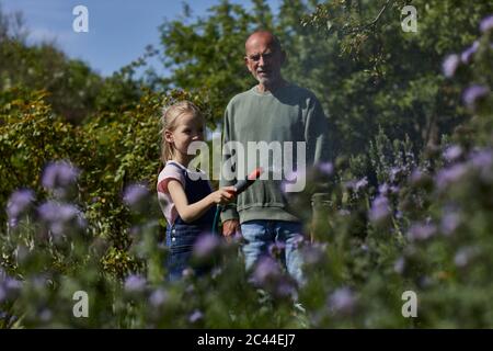 Grandfather and granddaughter watering flowers in allotment garden Stock Photo