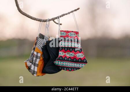 Close-up of face masks hanging from twig at park Stock Photo