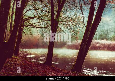 Germany, North Rhine-Westphalia, Remscheid, Forest bank of Wupper river in autumn Stock Photo