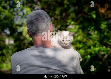 Rear view of senior man holding his cat in garden Stock Photo