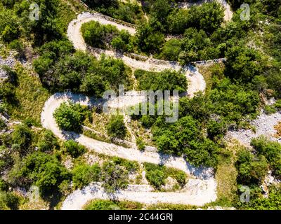 Aerial view of a winding dirt road cutting through lush green fields ...