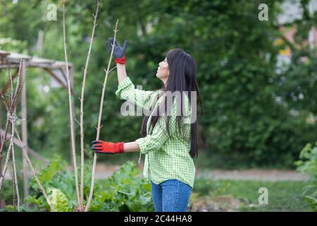 Woman looking on twigs in urban garden Stock Photo