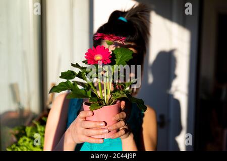 Woman standing by winadow, hiding behind potted flowers Stock Photo