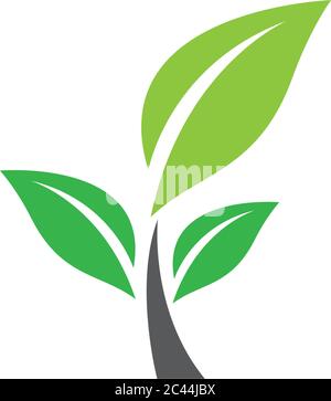 Logos of green leaf ecology nature element vector icon Stock Vector
