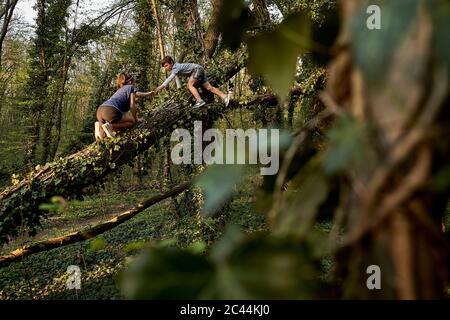Boy helping sister climbing on tree in forest Stock Photo