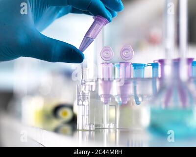 Cropped hand of male scientist holding DNA samples in vial at laboratory Stock Photo