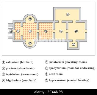 floor plan of a roman bath, Thermae Stock Vector