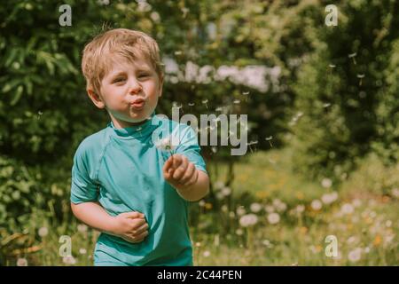 Cute blond boy blowing dandelion seeds while standing at garden on sunny day Stock Photo