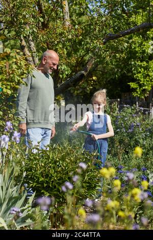 Grandfather and granddaughter watering flowers in allotment garden Stock Photo