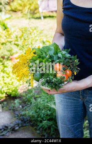 Woman holding bowl of harvested wild herbs sorrel, oregano, coltsfoot, herb gerard, nettle, goldenrod and tomatoes