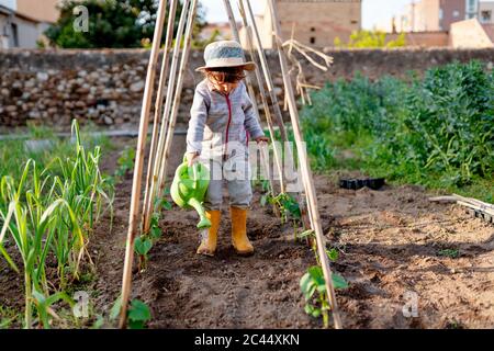 Full length of cute girl watering plants while standing under trellis at orchard Stock Photo