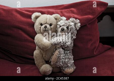 Two teddy bears sit side by side Stock Photo