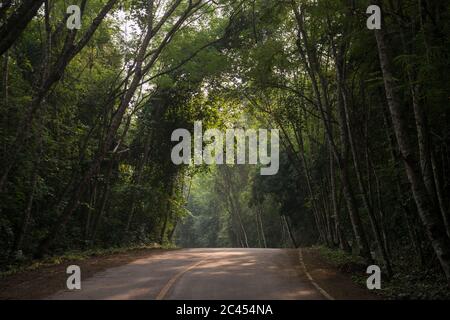 a Park road in the Rainforest at the Kaeng krachan Nationalpark west the city of Phetchaburi or Phetburi in the province of Phetchaburi in Thailand. Stock Photo