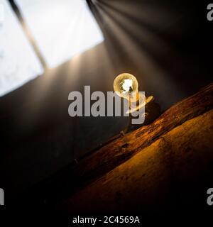 Close-up of lit bulb in an old attic, France Stock Photo