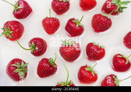 Fresh red trawberries on liquid background. Flat lay Stock Photo