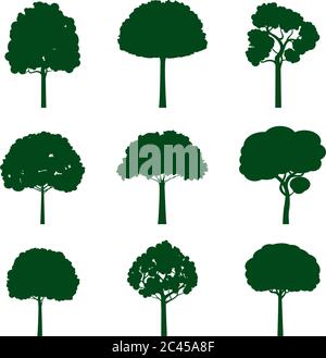 Set of Trees and Leaves. Vector Illustration. Collection of icons. Stock Vector