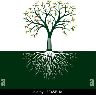 Color Tree of Life with Roots. Vector Illustration. Isolated object. Stock Vector