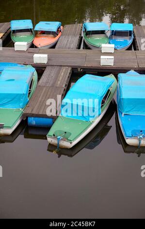 Pedal boats on the jetty, Ottenstein Reservoir, Waldviertel, Austria Stock Photo