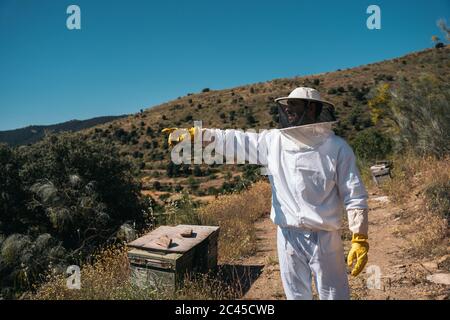 Beekeeper pointing beehives. Beekeeper in protective workwear. Stock Photo