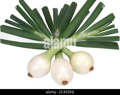 Young napiform onion isolated on a white background Stock Photo