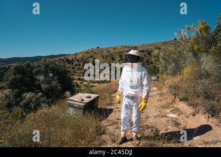Beekeeper holding a bees hive on his back to harvest honey. Beekeeping Stock Photo