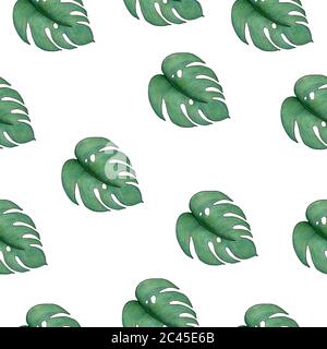 seamless pattern with tropical leaves, tropical summer background for fabric, wrapping or wallpaper, cute hand drawn illustration Stock Photo