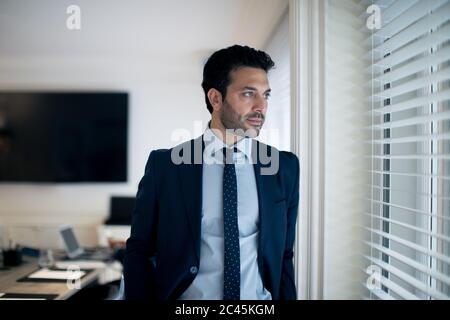 Bearded businessman wearing suit and tie standing by a window. Stock Photo