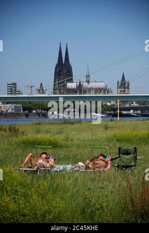 Cologne, Germany. 24th June, 2020. Two men enjoy the sun on the bollard meadows on the banks of the Rhine. Credit: Henning Kaiser/dpa/Alamy Live News Stock Photo