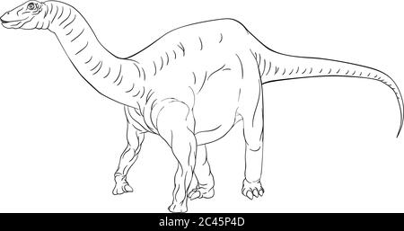 Dinosaur Diplodocus Brontosaurus Outline Coloring Stock Vector